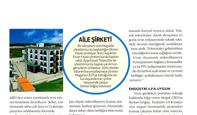 Aile şirketi