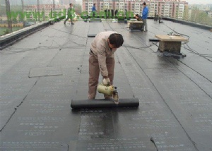 Roofing waterproof materials