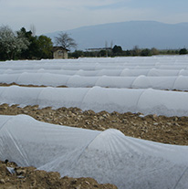 Crop Covers